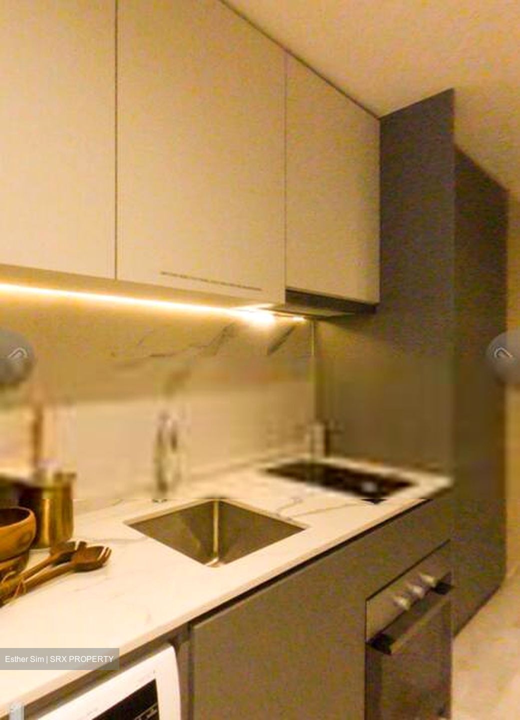 Affinity At Serangoon (D19), Apartment #570229331